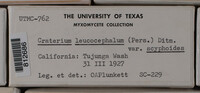 Image Associated With the Occurence